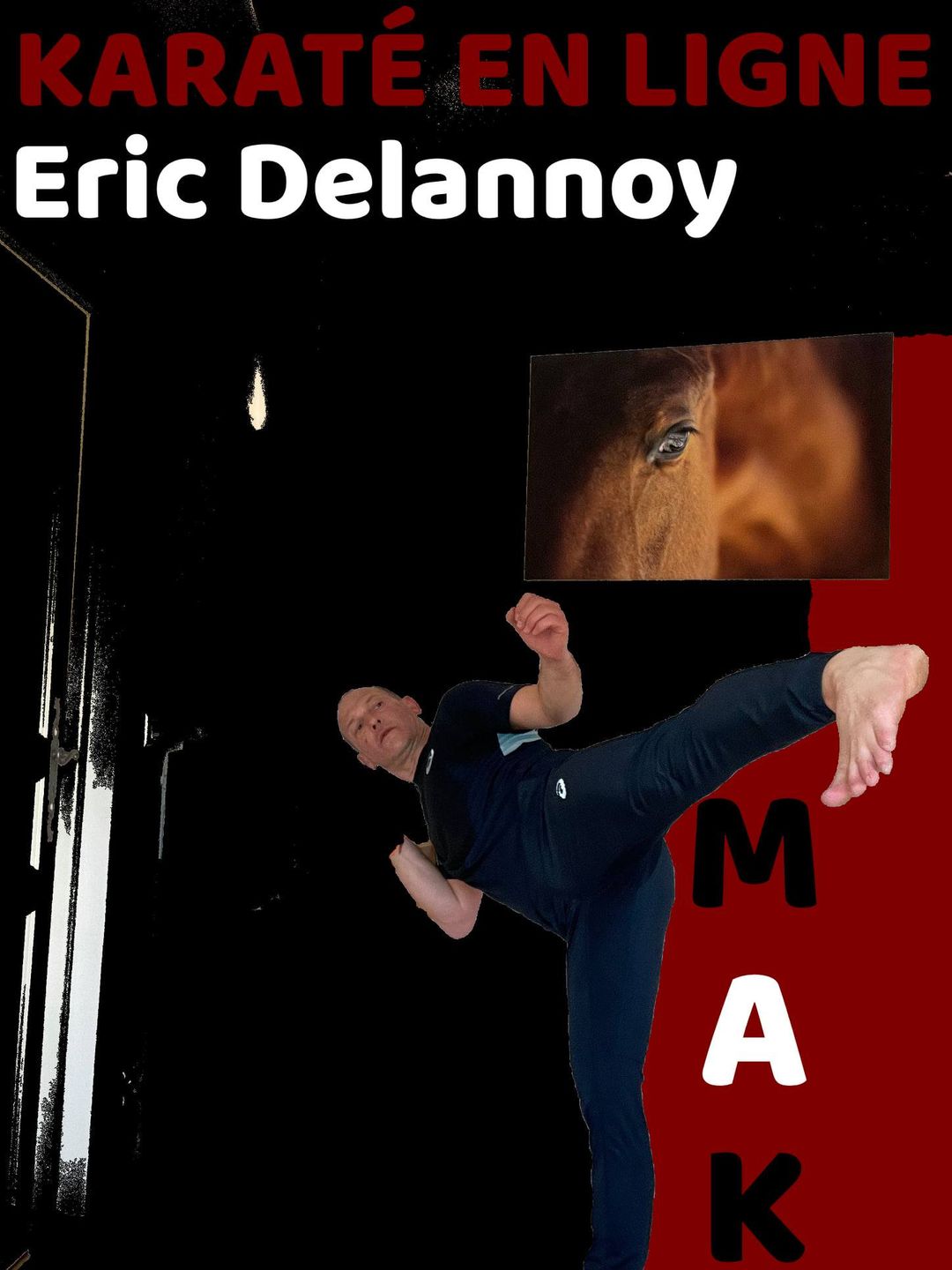 Karaté en ligne - Éric Delannoy